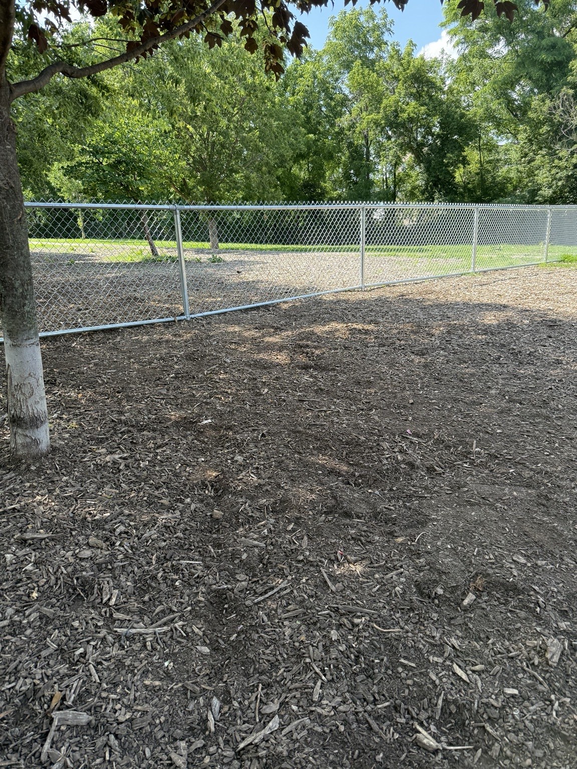 View of the permanent dividing fence from the main/general-use area of Hill Street Dog Park, showing its alignment through the park.